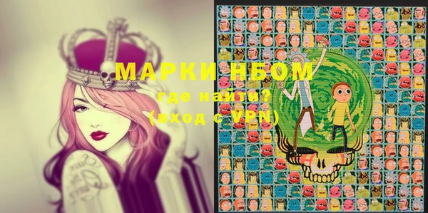 PSILOCYBIN Алзамай