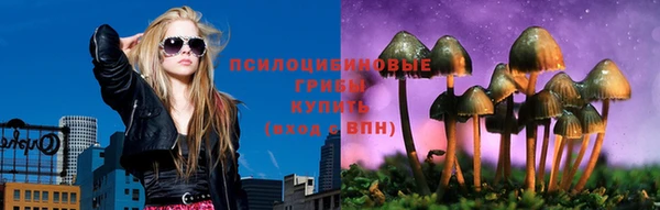 стафф Алексеевка