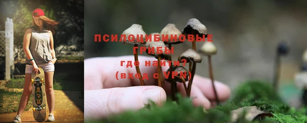 PSILOCYBIN Алзамай