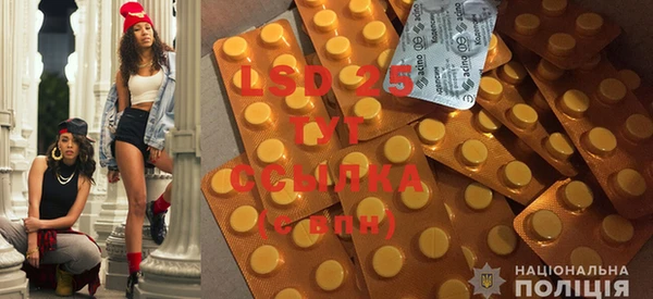 PSILOCYBIN Алзамай