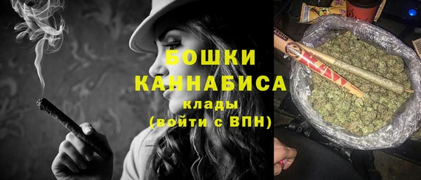 PSILOCYBIN Алзамай