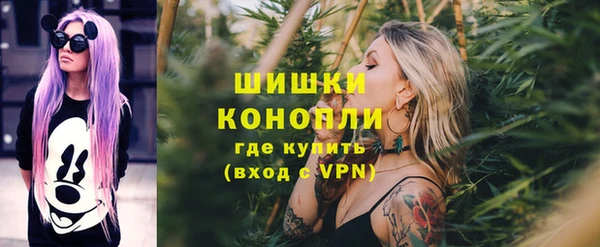 PSILOCYBIN Алзамай