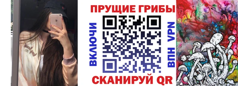 мега маркетплейс  Сельцо  Галлюциногенные грибы MAGIC MUSHROOMS 